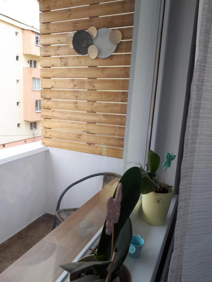 Angel Residence Sibiu Luaran gambar