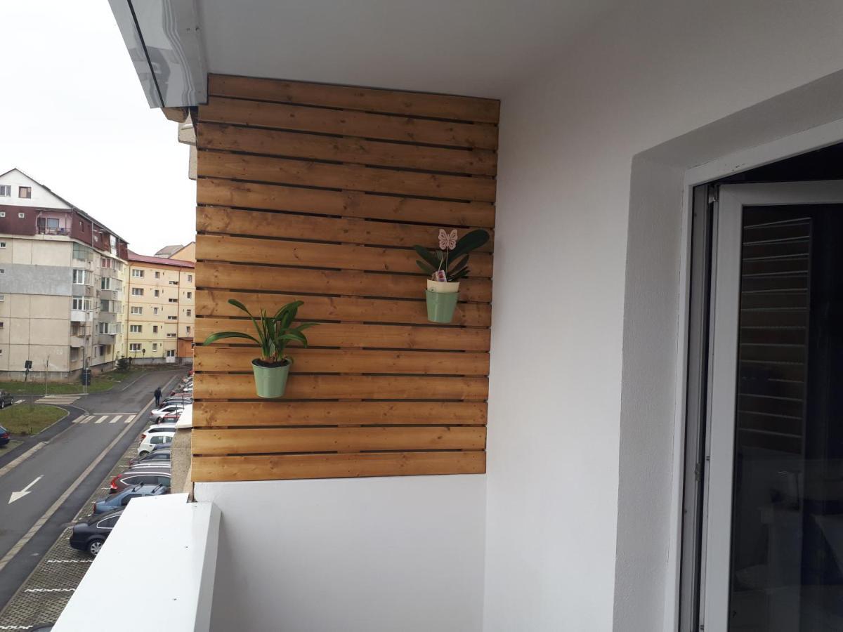 Angel Residence Sibiu Luaran gambar